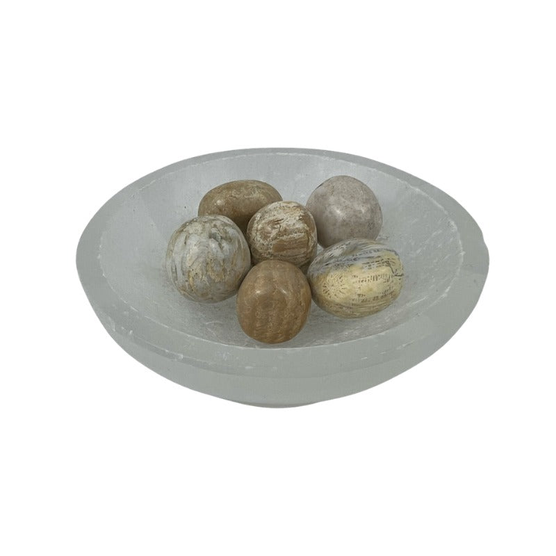 Fossil Coral Tumbled Stone - 20-30 mm