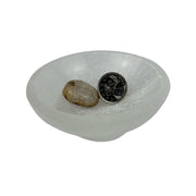 Fossil Coral Tumbled Stone - 20-30 mm