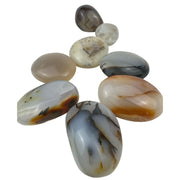 Agate Palm Stone - 1.5-2.75 inch