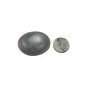 Agate Palm Stone - 1.5-2.75 inch