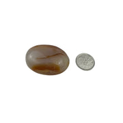 Agate Palm Stone - 1.5-2.75 inch