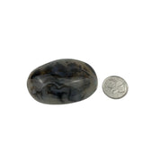 Agate Palm Stone - 1.5-2.75 inch