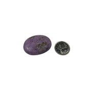 Stichtite Palm Stone - 1.75 inch