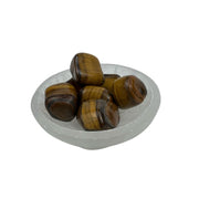 Tiger Eye Pebble - 30-53 mm