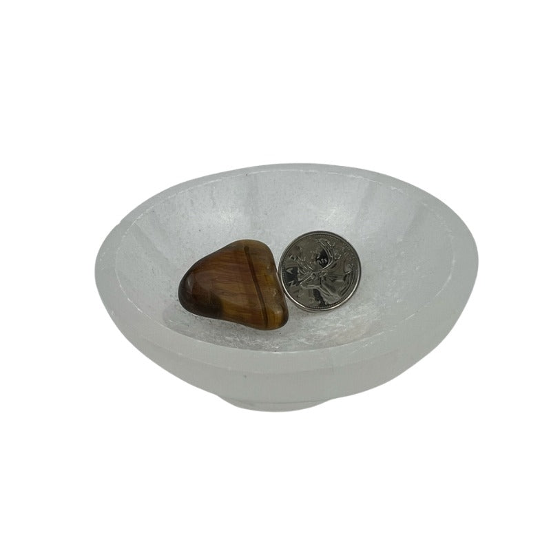 Tiger Eye Pebble - 30-53 mm