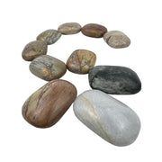 Dolomite Palm Stone - 2.25-2.5 inch