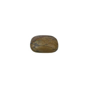 Dolomite Palm Stone - 2.25-2.5 inch