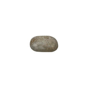 Dolomite Palm Stone - 2.25-2.5 inch