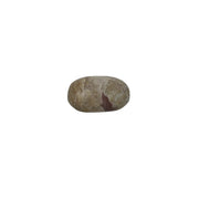 Dolomite Palm Stone - 2.25-2.5 inch