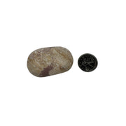 Dolomite Palm Stone - 2.25-2.5 inch
