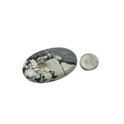 Maligano Jasper Palm Stone - 2.75 inch