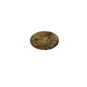 Petrified Wood Worry Stone - 2 inch