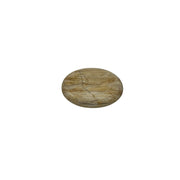 Petrified Wood Worry Stone - 2 inch