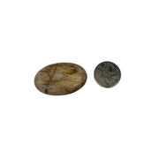 Petrified Wood Worry Stone - 2 inch