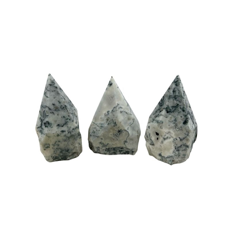 Tree Agate Top Polished Point - 2.5-3.0 inch