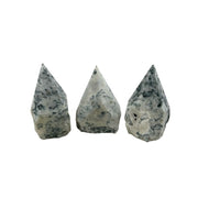 Tree Agate Top Polished Point - 2.5-3.0 inch