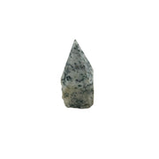 Tree Agate Top Polished Point - 2.5-3.0 inch
