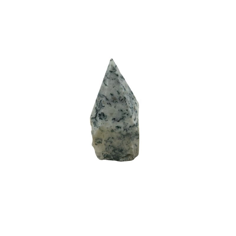 Tree Agate Top Polished Point - 2.5-3.0 inch