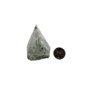 Tree Agate Top Polished Point - 2.5-3.0 inch