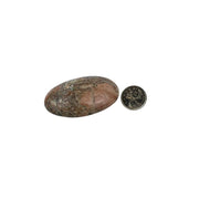 Picasso Jasper Palm Stone - 2.75-3.25 inch