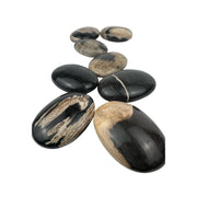 Petrified Wood Palm Stone - 2.5-3.0 inch