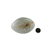 Agate Eyes Polished with Druse Slice - 4.25-5.5 inch