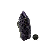 Amethyst with Druse Top Polished Point - 3.5-4.0 inch