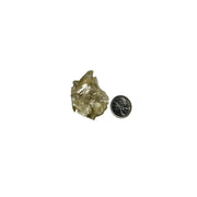 Green Mica Specimen - 1.0-2.5 inch