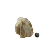 Pink Tourmaline with Quartz Rough - 3.75-4.75 inch