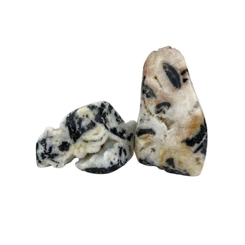 Dendritic Standing with Druse Agate Specimen - 6 inch