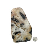 Dendritic Standing with Druse Agate Specimen - 6 inch