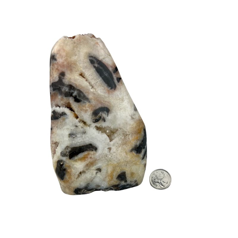 Dendritic Standing with Druse Agate Specimen - 6 inch