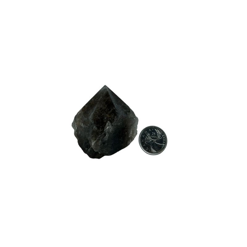 Smoky Quartz Top Polished Point - 2.0-3.25 inch
