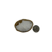 Natural Agate Slice - 1.5-4.0 inch