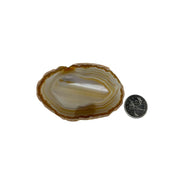 Natural Agate Slice - 1.5-4.0 inch