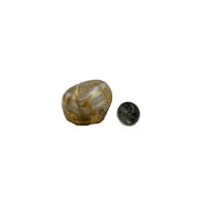 One Side Polished Agate Freeform - 2.0-4.5 inch
