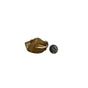 One Side Polished Agate Freeform - 2.0-4.5 inch
