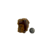 One Side Polished Agate Freeform - 2.0-4.5 inch