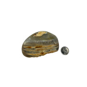 One Side Polished Agate Freeform - 2.0-4.5 inch