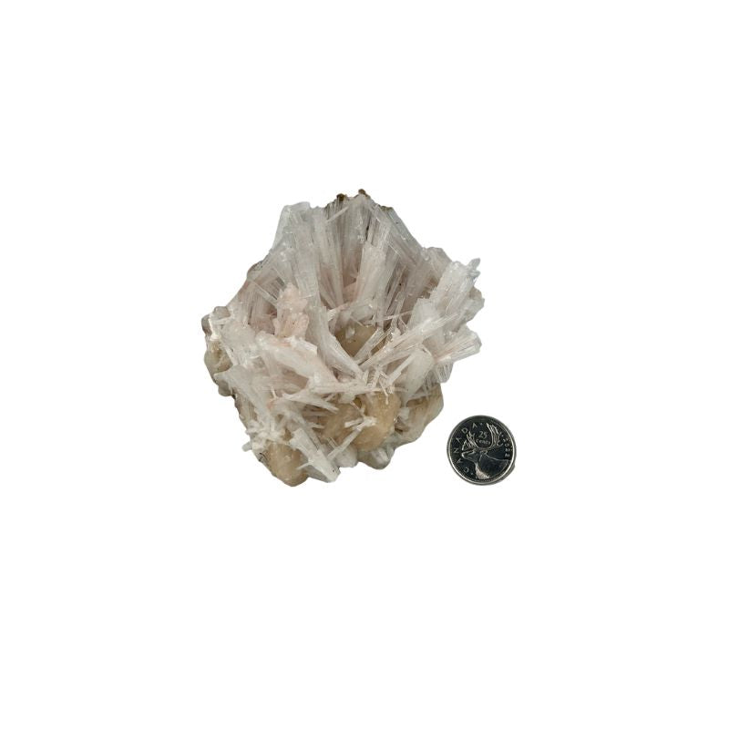 Scolecite Crystal Quartz on Pink Stilbite Specimen - 3.75-4.75 inch