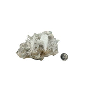 Scolecite Crystal Quartz on Pink Stilbite Specimen - 3.75-4.75 inch