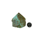 Chrysoprase Top Polished Point - 2.25-3.0 inch