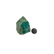 Chrysoprase Top Polished Point - 2.25-3.0 inch
