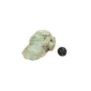 Green Chrysoprase Rough - 3.0-5.75 inch