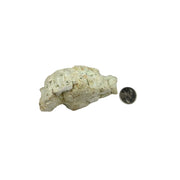 Green Chrysoprase Rough - 3.0-5.75 inch
