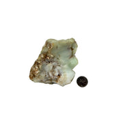Green Chrysoprase Rough - 3.0-5.75 inch