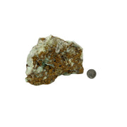 Green Chrysoprase Rough - 3.0-5.75 inch