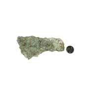 Green Chrysoprase Rough - 3.0-5.75 inch