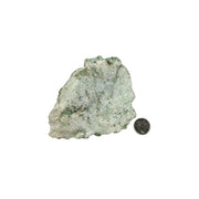 Green Chrysoprase Rough - 3.0-5.75 inch