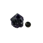 Fluorite Top Polished Point - 2-2.75 inch